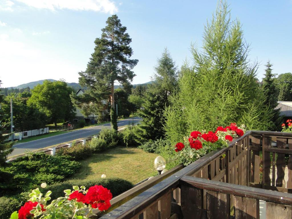 Villa Zerotin Penzion Bed & Breakfast Velké Losiny Εξωτερικό φωτογραφία