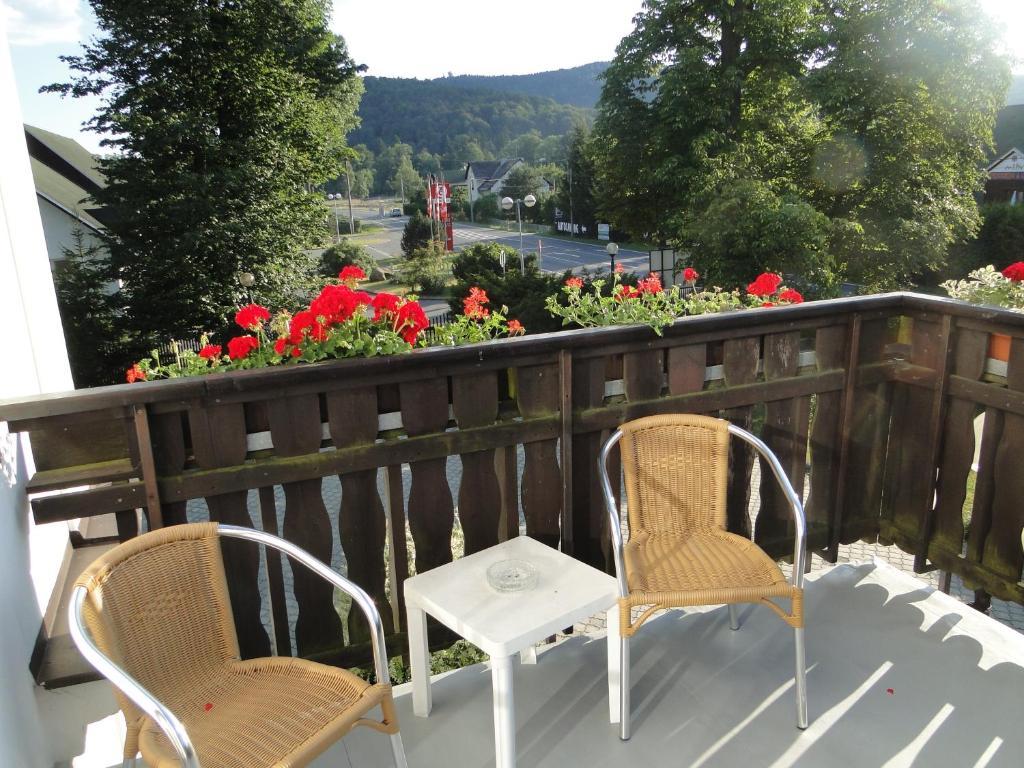 Villa Zerotin Penzion Bed & Breakfast Velké Losiny Εξωτερικό φωτογραφία